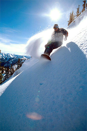 Stephen Matera Image