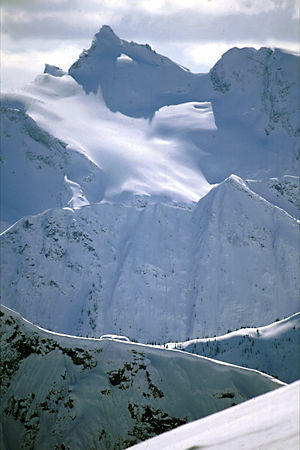 Larry Prosor Photo