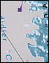 Map of Antarctic Peninsula Coast