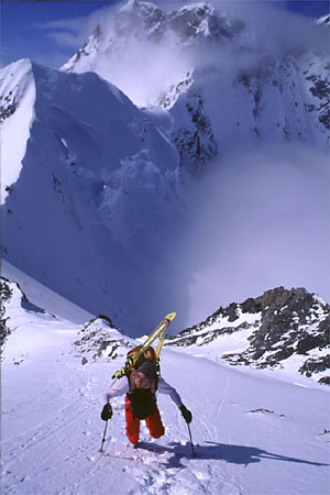 Kris Erickson Photo