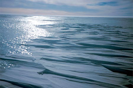 1999 Antarctica Ski & Snowboard Expedition