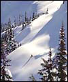 Whistler Mountain