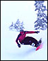 Banked Slalom