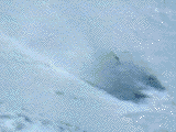 Warren Miller bloopers