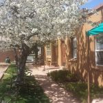 Stone Lizard Lodging