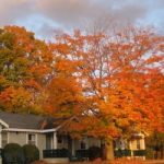 Northway Motel