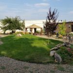 Stone Lizard Lodging