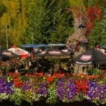 Bridge Bistro