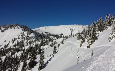 The 8 Best Snowshoeing Trails You Need To Experience In Washington
