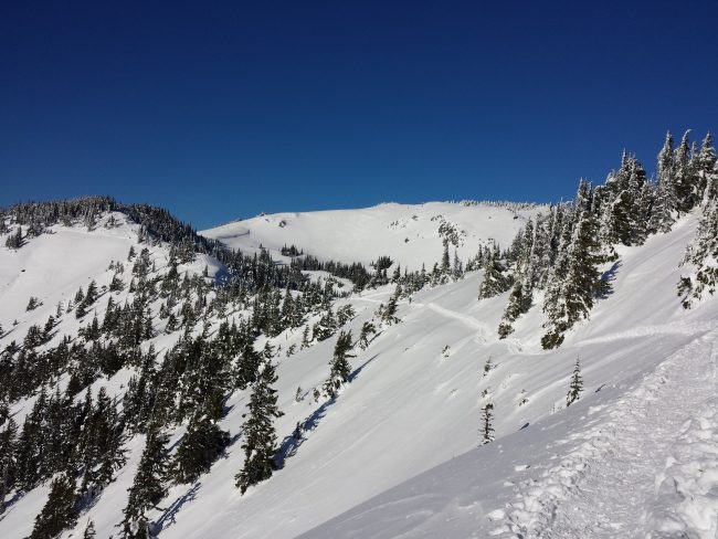snowshoe trails