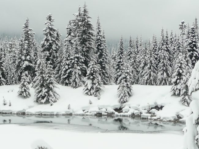 snowshoe trails